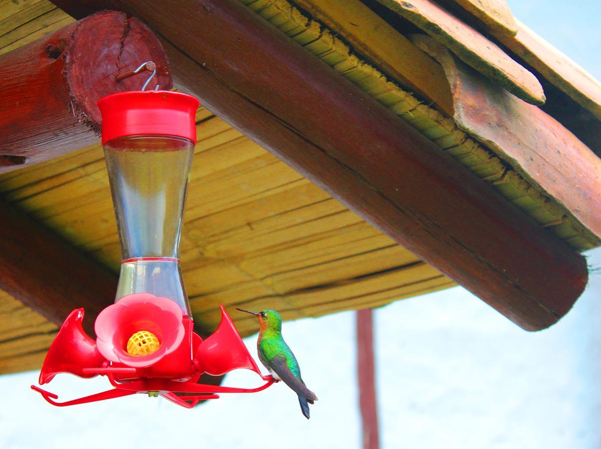 과타비타 Jardin Colibri Rnt 33633 빌라 외부 사진